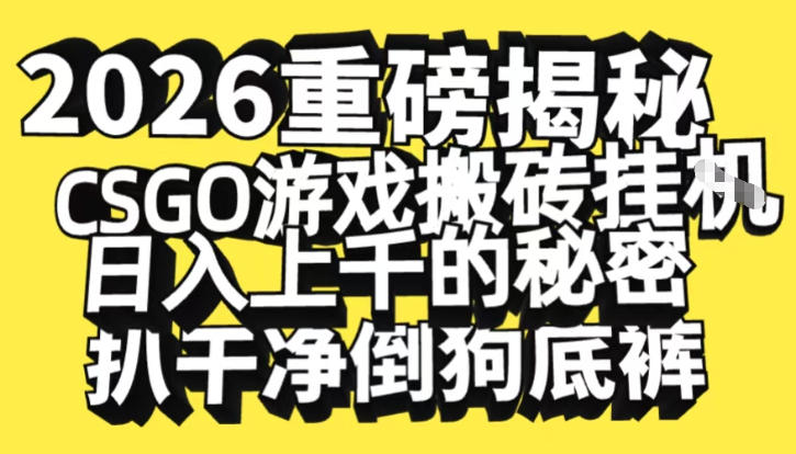 2026开年重磅解密，CSGO游戏搬砖挂G日入1k+的秘密，把倒狗的底裤扒干【揭秘】-冒泡网