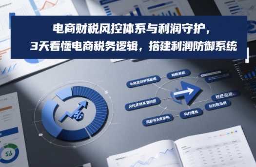 电商财税风控体系与利润守护,3天看懂电商税务逻辑,搭建利润防御系统-冒泡网