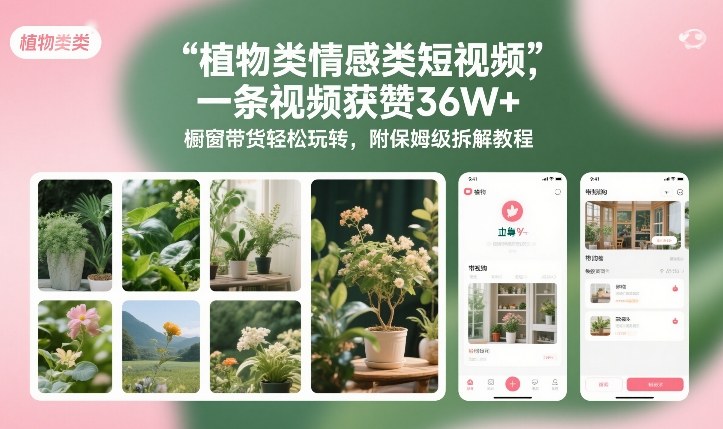 植物类情感类短视频,一条视频获赞36W+,橱窗带货轻松玩转,附保姆级拆解教程-冒泡网