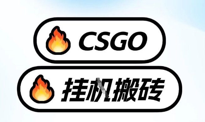 真全网独家CSGO挂G,最新玩法,单日捡漏1K+,不用电脑,不用打游戏【揭秘】-冒泡网