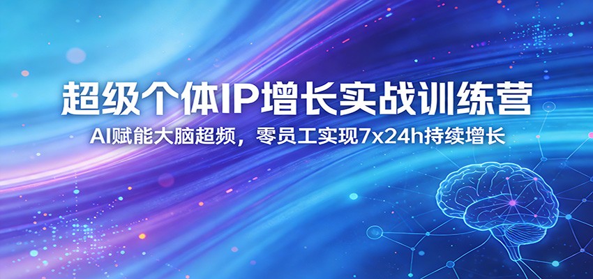 超级个体IP增长实战训练营：AI赋能大脑超频，零员工实现7x24h持续增长(更新)-冒泡网