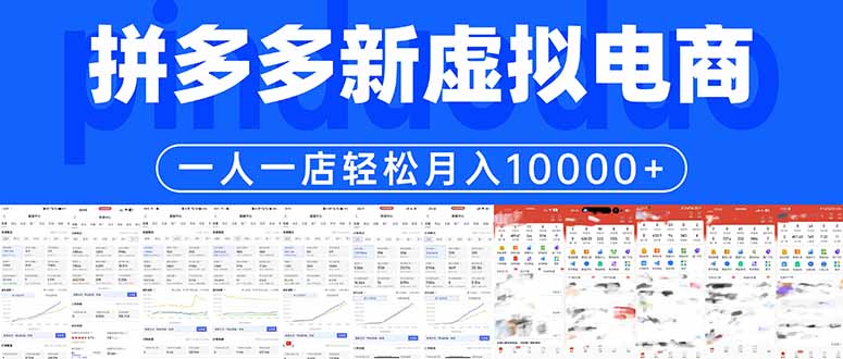 拼多多虚拟电商一人一店轻松月入10000+-蜗牛学社