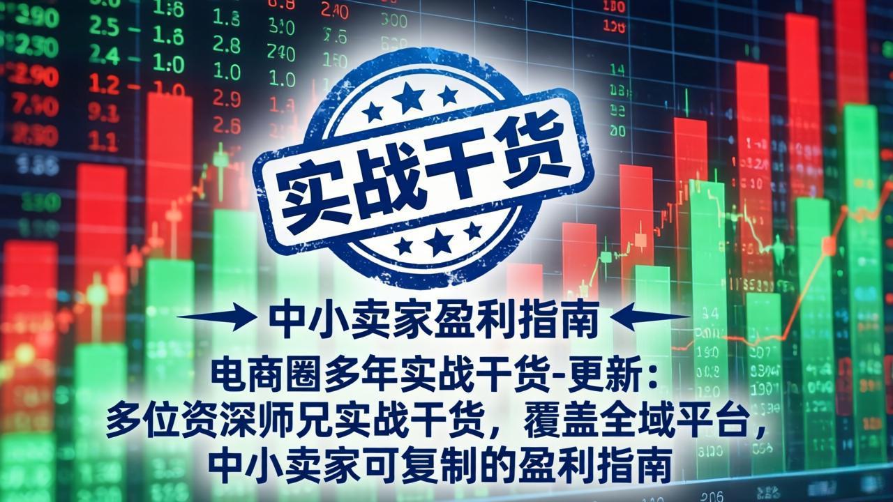 电商圈多年实战干货-更新4月27：多位资深师兄实战干货/覆盖全域平台，中小卖家可复制的盈利指南-蜗牛学社