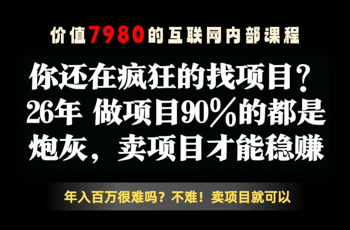 26年请不要疯狂的找项目了，卖项目远比你想象的暴利，你也可以月入10W+【揭秘】-蜗牛学社