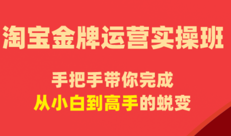 飓风电商·淘宝金牌运营实操班-蜗牛学社