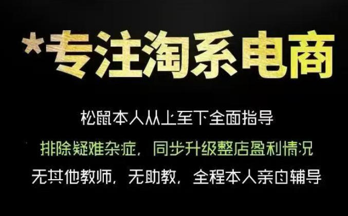 松鼠会电商VIP课程，从基础布局到高阶优化，助你掌握淘宝运营逻辑，提升店铺流量与转化（更新0626）-蜗牛学社