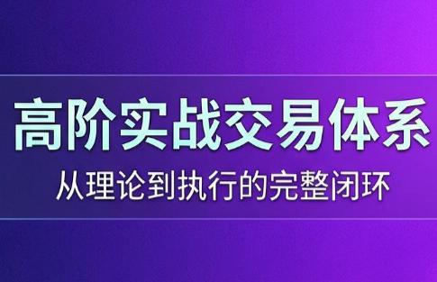 高老师·高阶实战交易体系(更新6月)-蜗牛学社