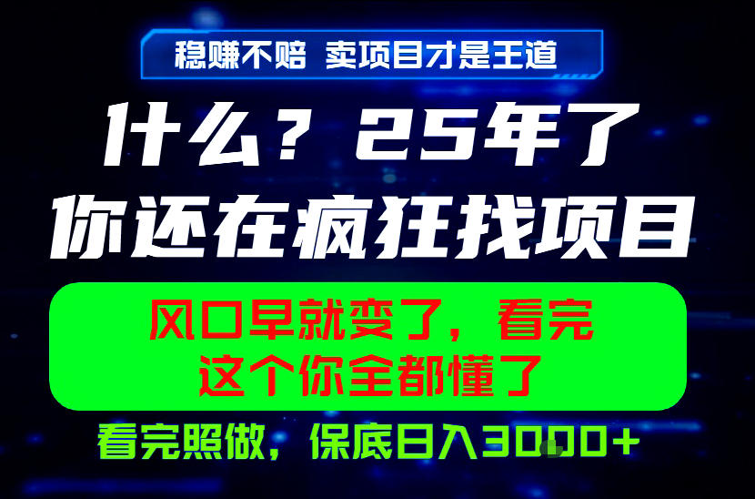 26年,请不要疯狂的找项目做了!卖项目才是真的稳賺不赔,看完照做,保底日入1k+【揭秘】-蜗牛学社