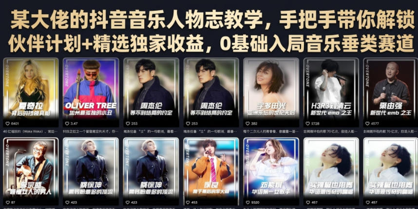 某大佬的抖音音乐人物志教学,手把手带你解锁伙伴计划+精选独家收益,0基础入局音乐垂类赛道-冒泡网