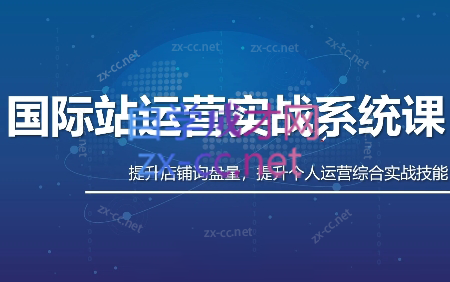 白老师·国际站运营实战系统(高质量询盘增长课)(更新)-冒泡网